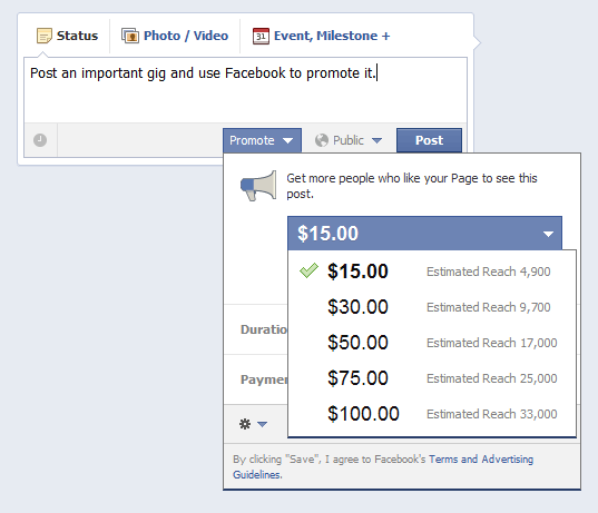 Facebook Promoted Posts