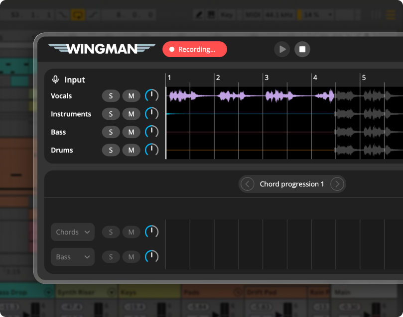 Record audio in Wingman